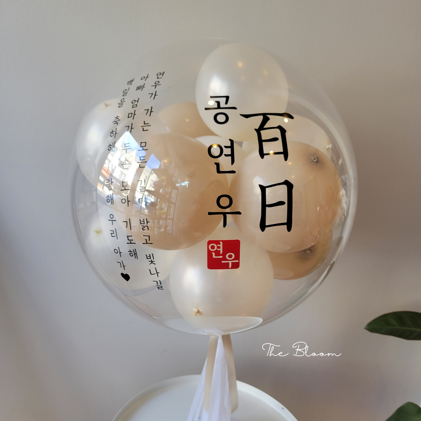 Balloon in Balloon (100 Day Birthday)