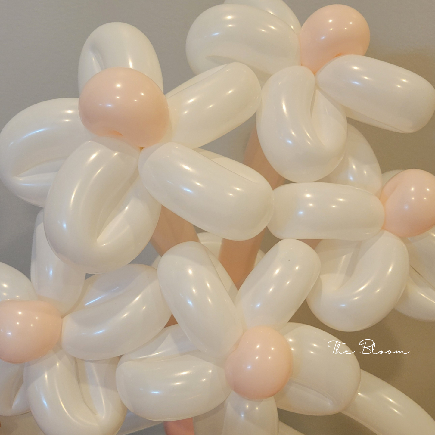 Giant Daisy Bouquet Balloons (5 petals)